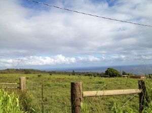 Hawaii County Pasture land